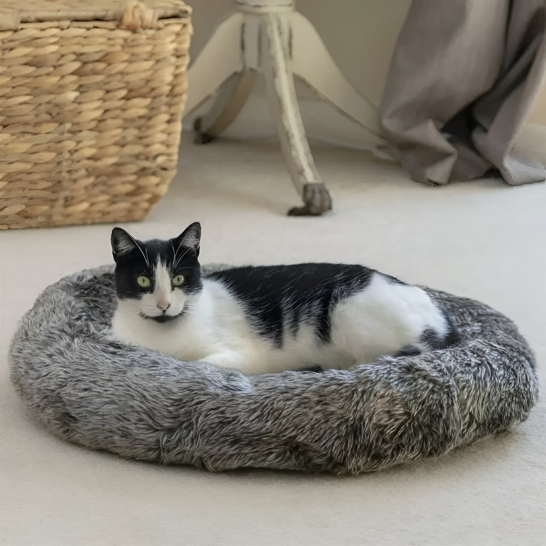 Creating a Cozy and Safe Space with Pet Beds