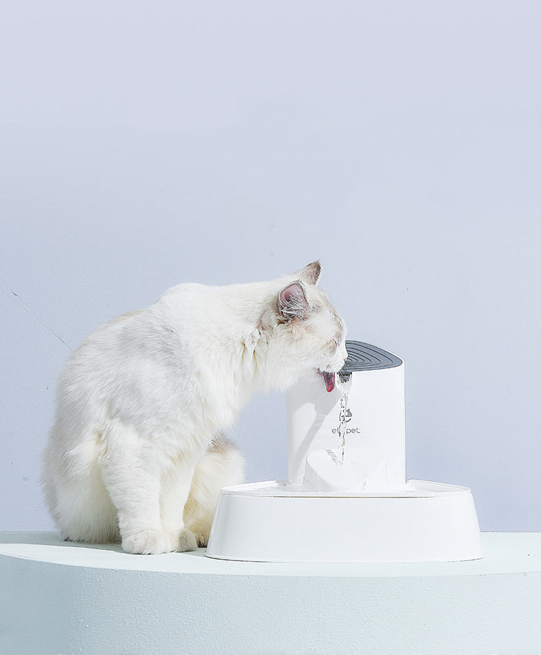 Pet Cat Water Fountain Feeding Machine