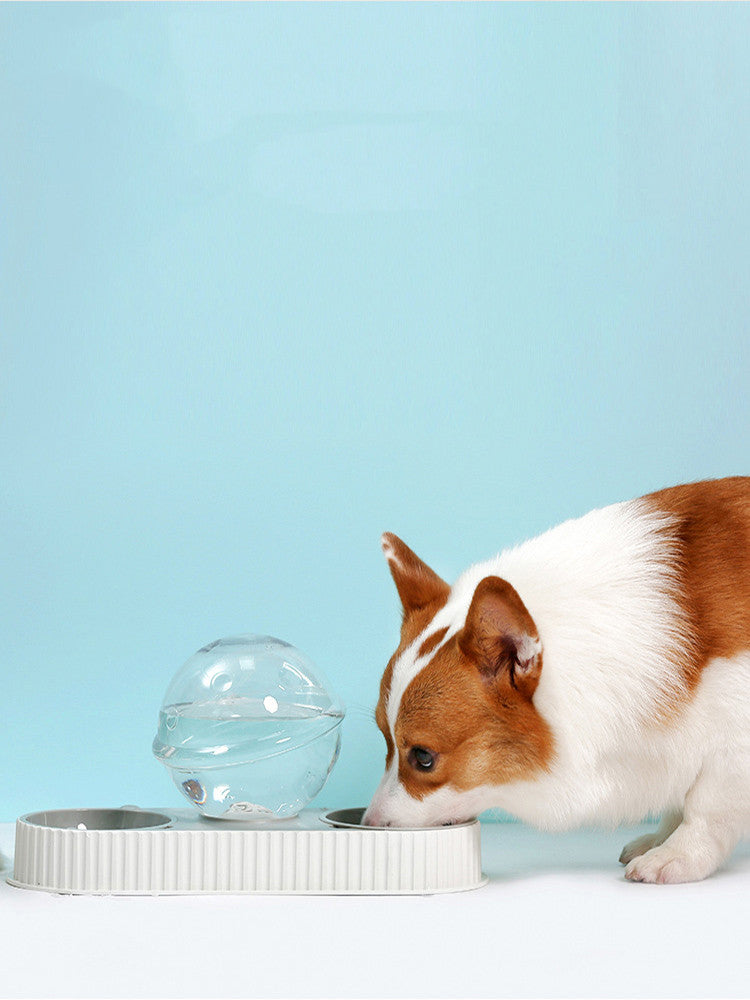 Plastic Pet Feeding Drinkers Dog Automatic