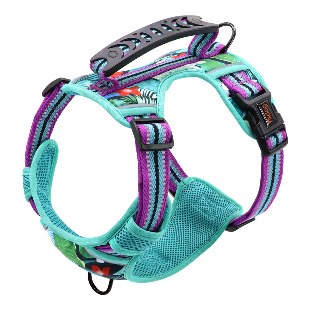 Small Medium And Large Dog Pet Leash