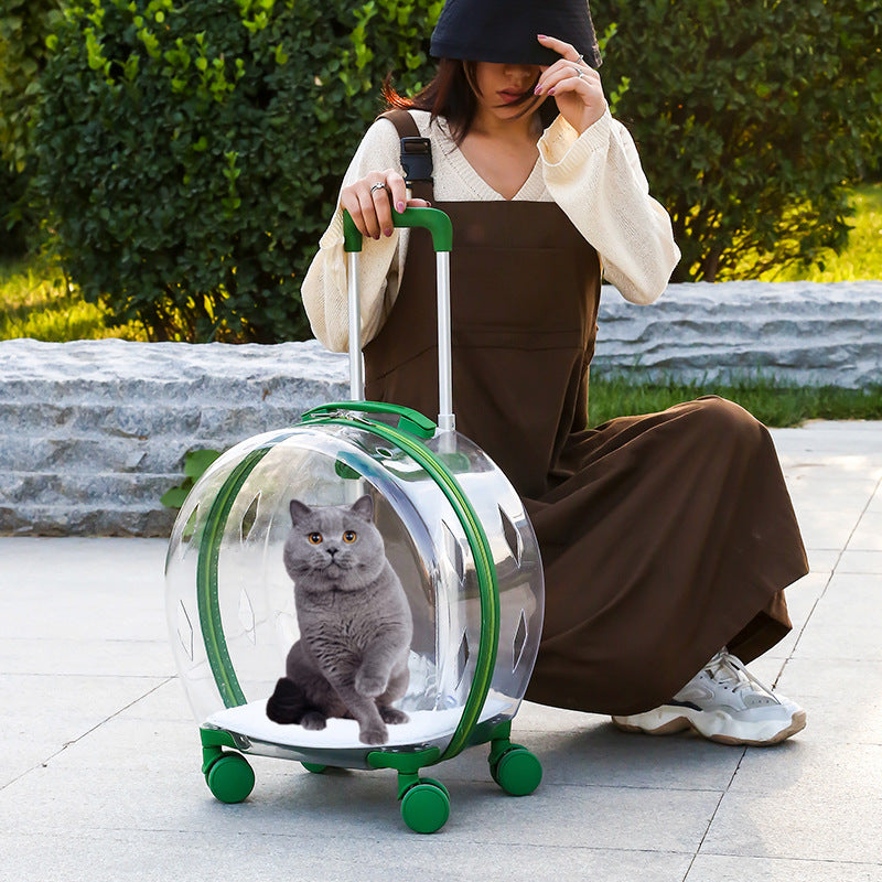 Dog Transparent Trolley Bag Space Capsule