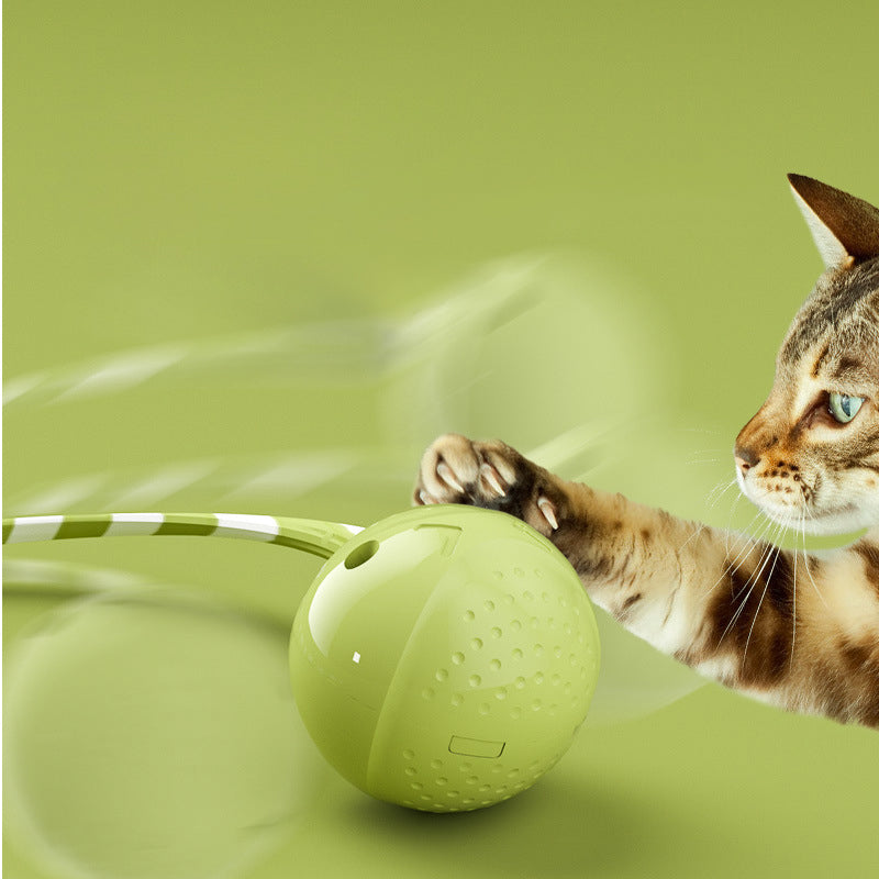 Cat Ball Toys Interactive Electric Balls Pet Toy