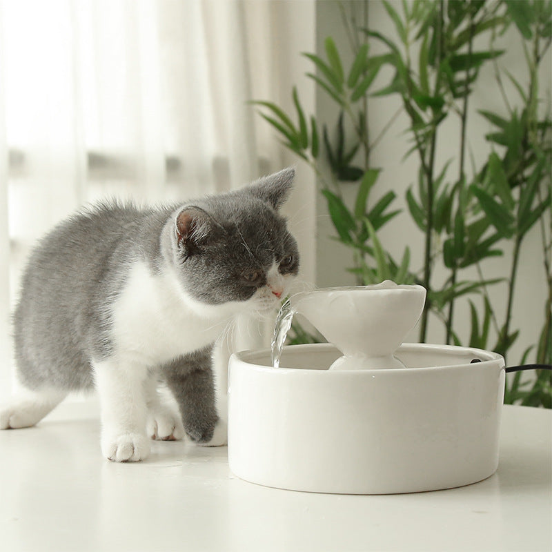 Smart Circulation Drinking Bowl