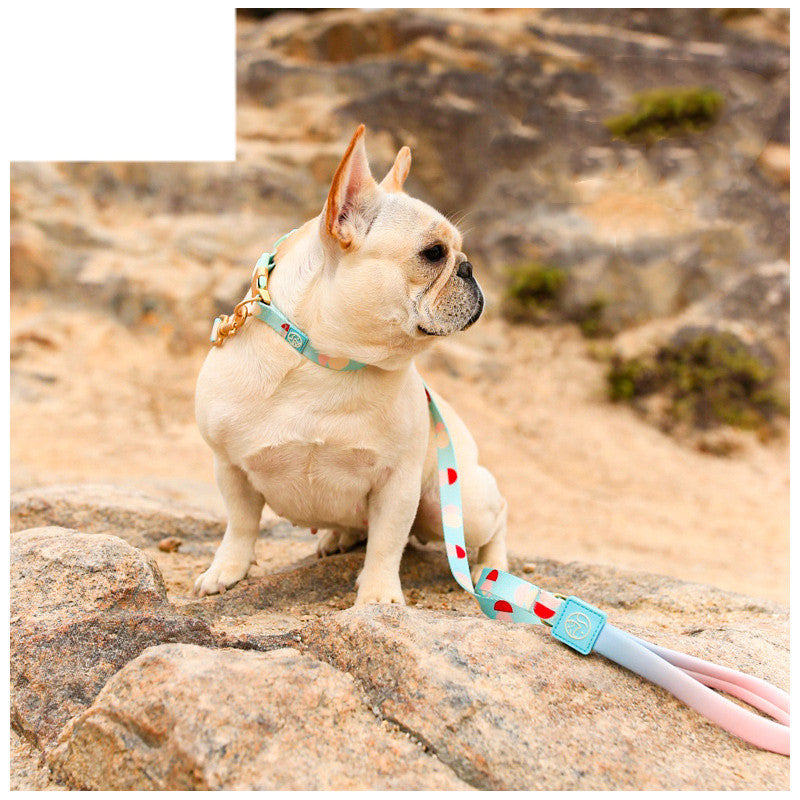 Fashion Y-shaped Chest Strap Pet Supplies