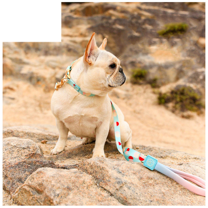 Fashion Y-shaped Chest Strap Pet Supplies