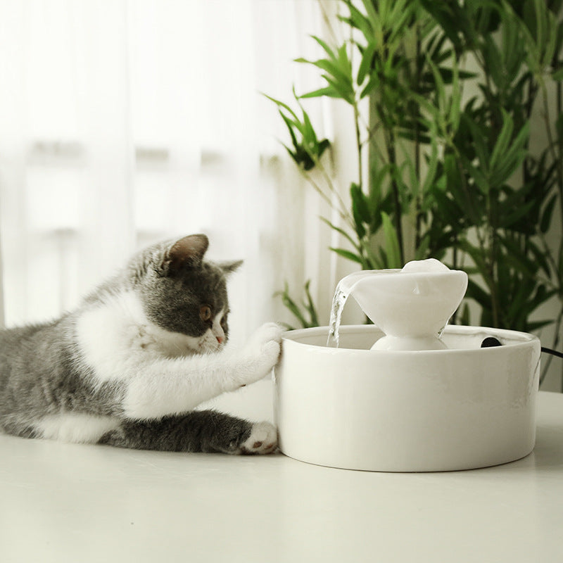 Smart Circulation Drinking Bowl