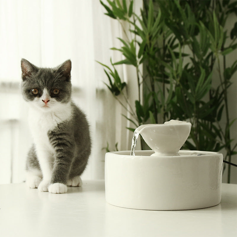 Smart Circulation Drinking Bowl