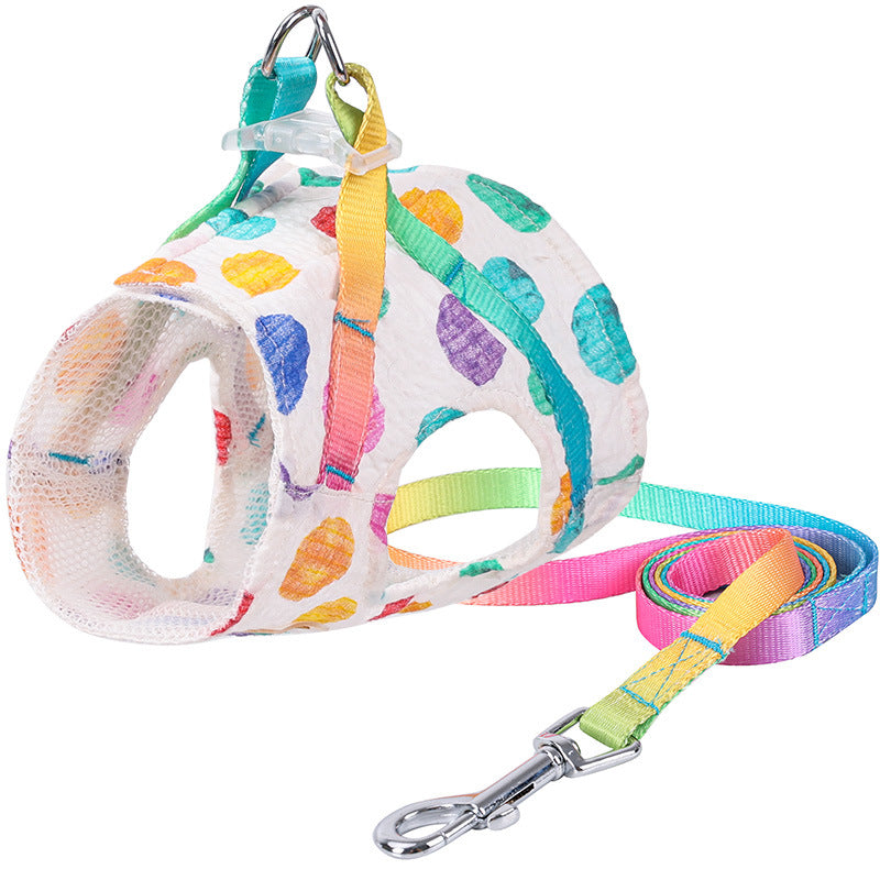 Medium Sized Dog On A Chested Leash