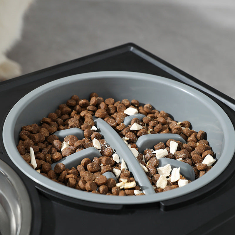 Pet Adjustable Elevated Stainless Steel