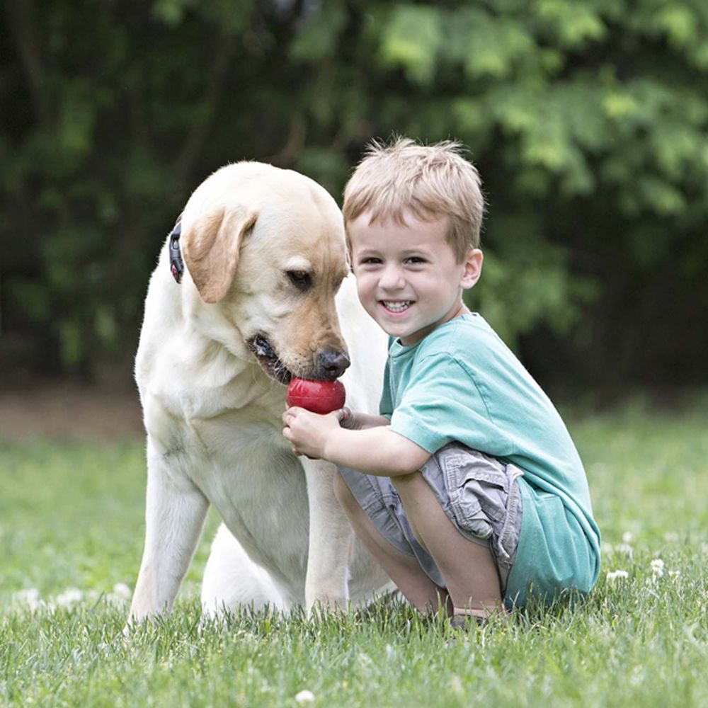 Bite-resistant Food Leakage Rubber Dog Toy