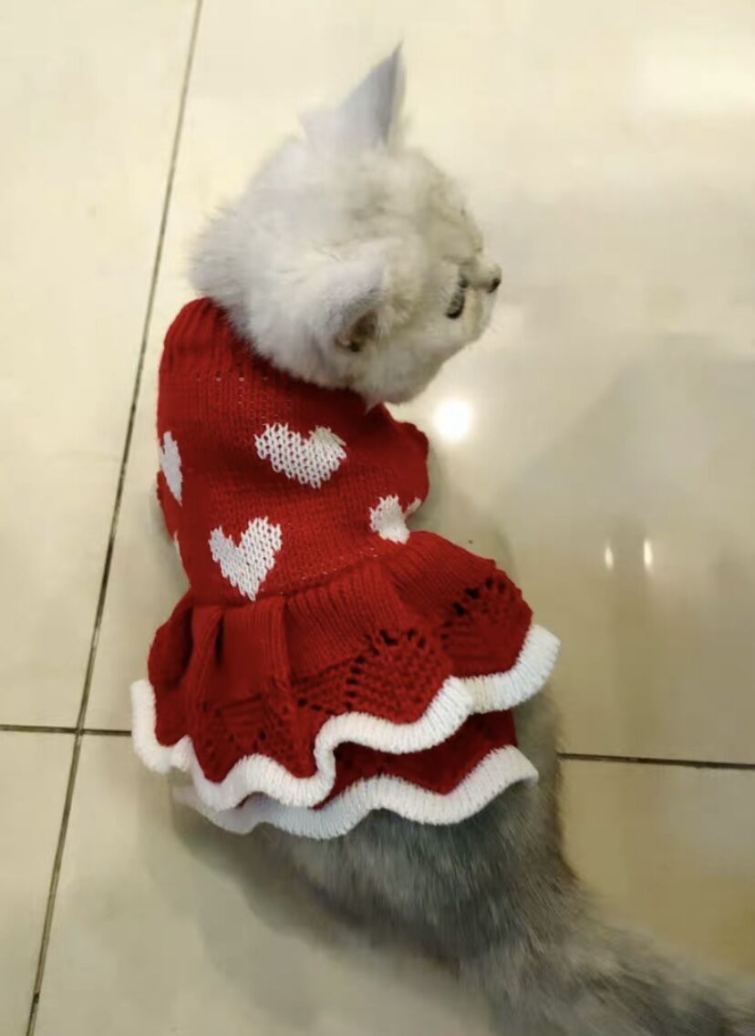 Festive Warm Sweater Dog Christmas