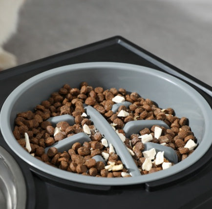 Pet Adjustable Elevated Stainless Steel