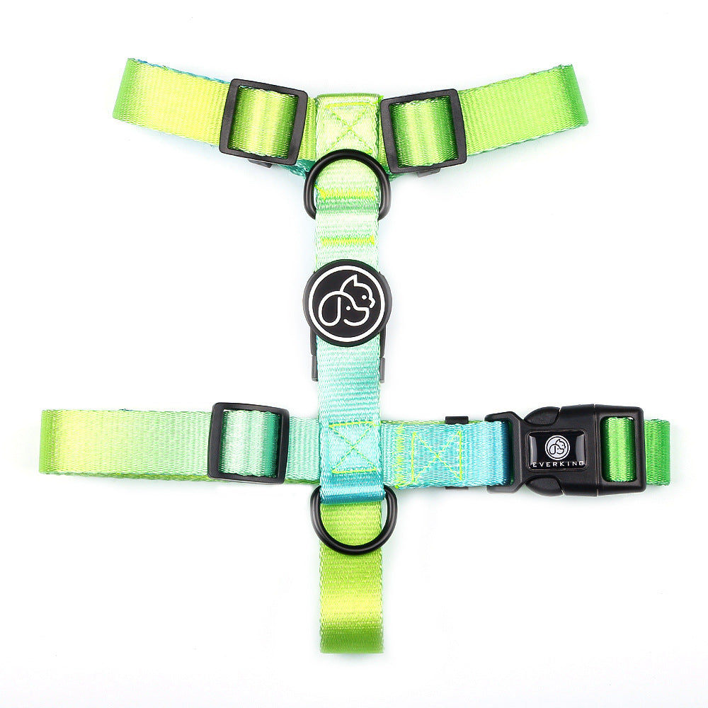 Pet Leash For Small Dogs Medium