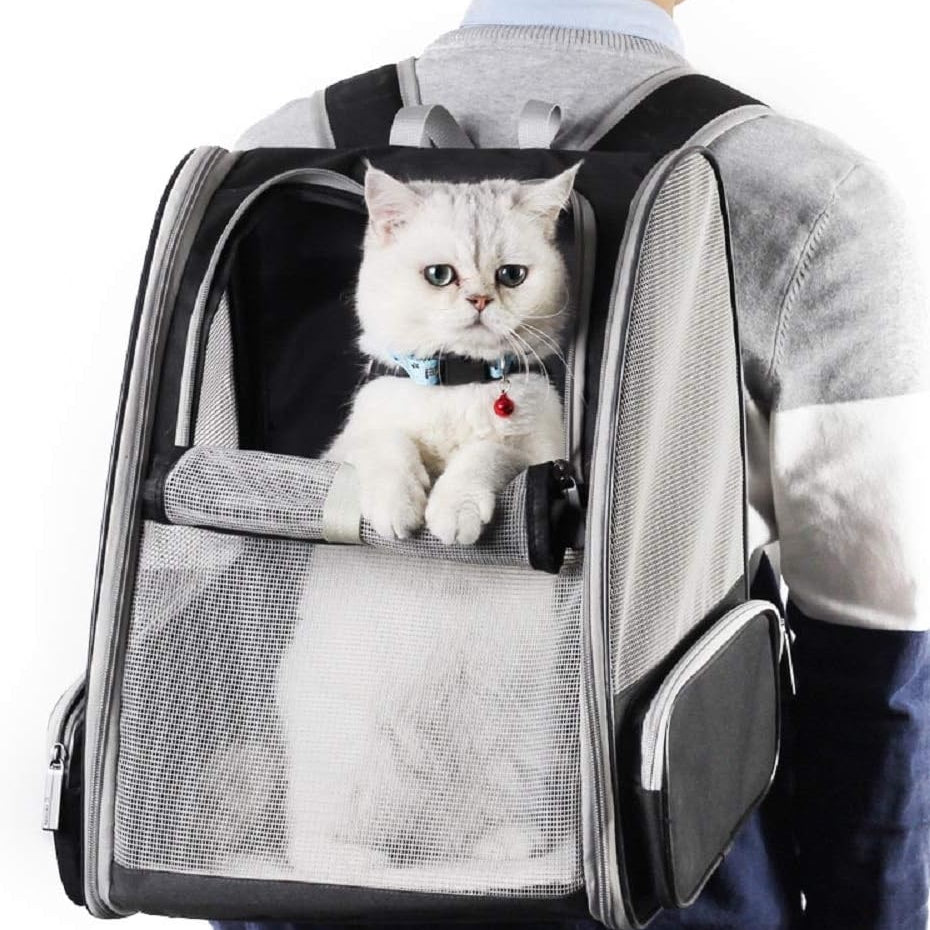 Innovative Traveler Bubble Backpack