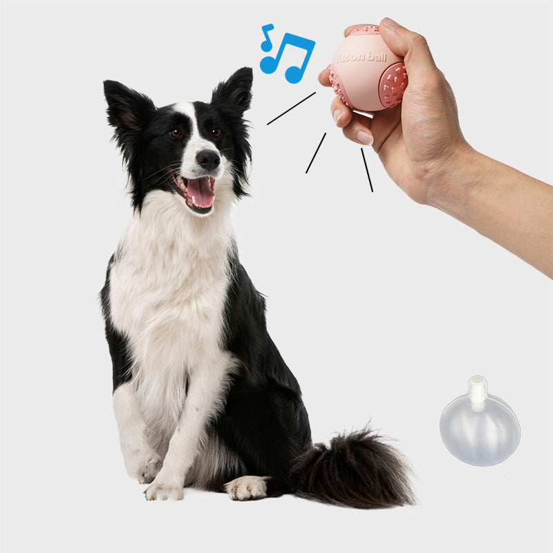 Rolling Ball For Dogs Toys
