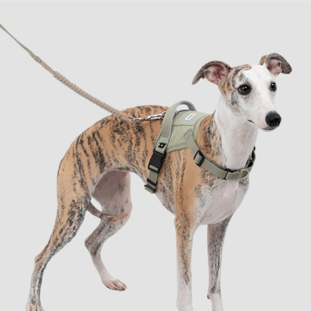 Fashion Personality Pet Vest Chest