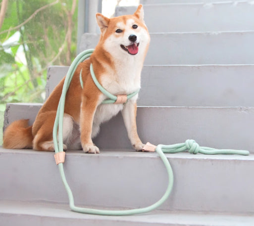 Pet Multi-functional Chest Harness Anti-Burst Leash