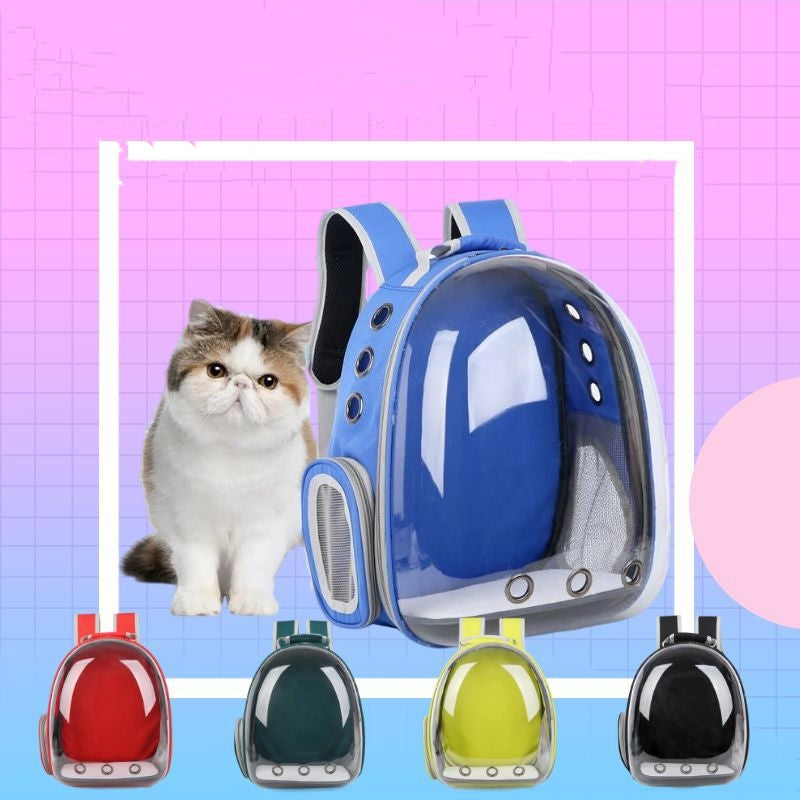 Transparent Space Bag Backpack For Dogs