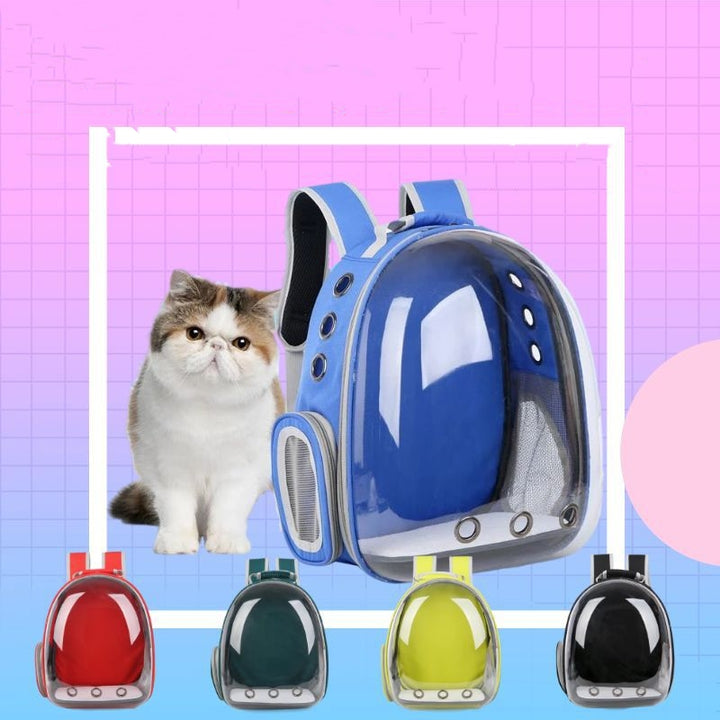 Transparent Space Bag Backpack For Dogs