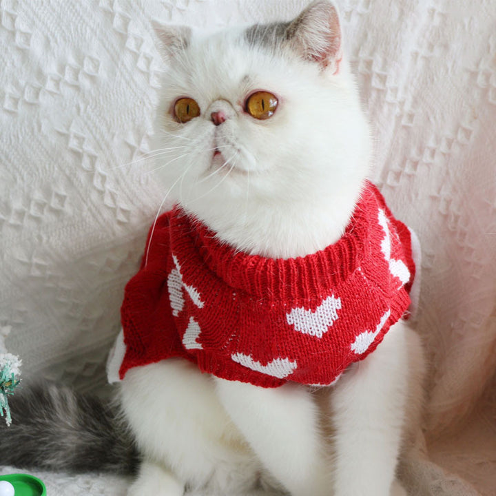 Festive Warm Sweater Dog Christmas