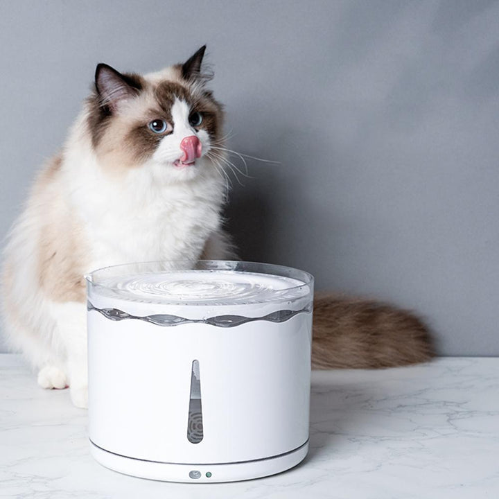 Cat Automatic Circulation Five-layer Filter