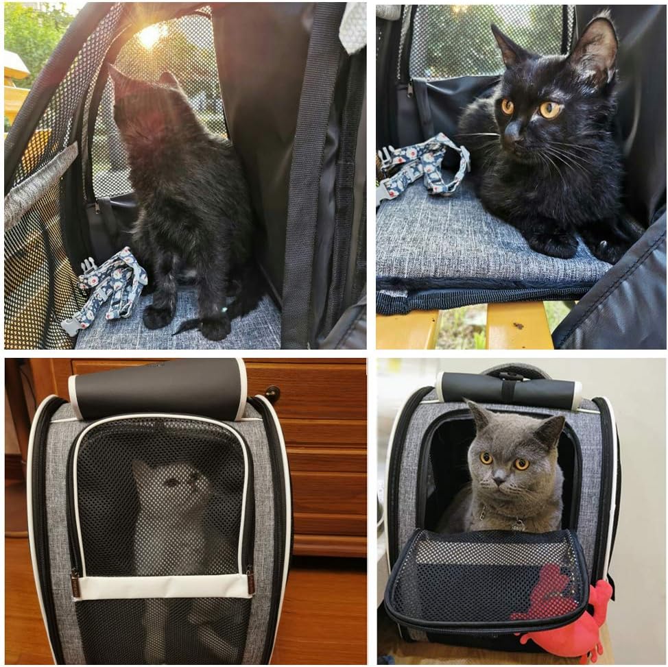 Innovative Traveler Bubble Backpack