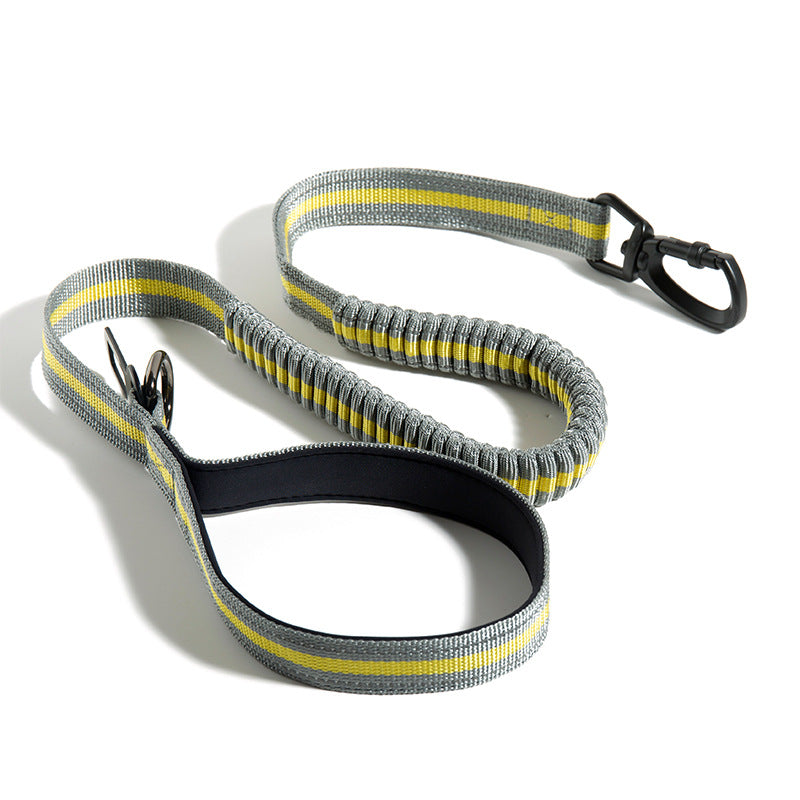 Punch Elastic Retractable Dog Leash