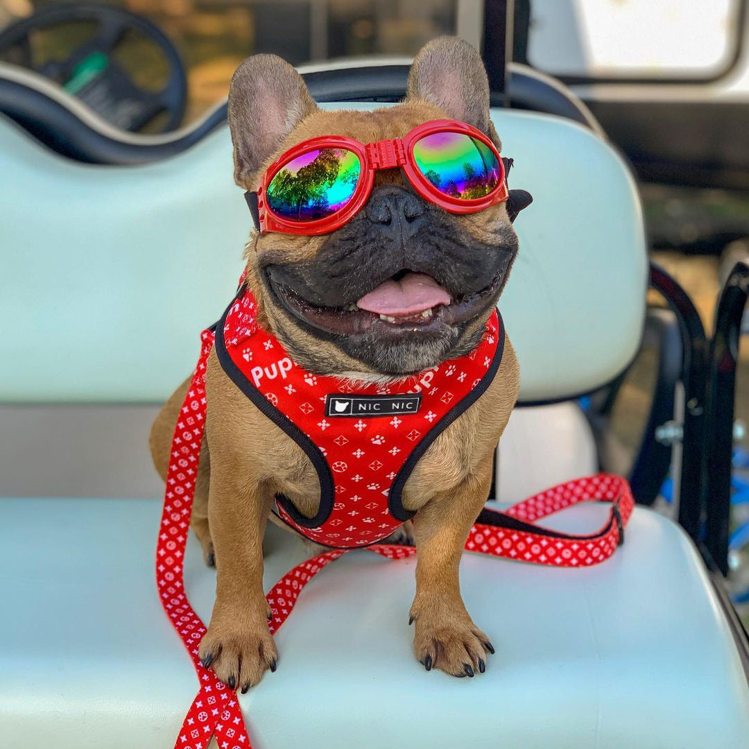 Pet Mesh Leash Chest Harness