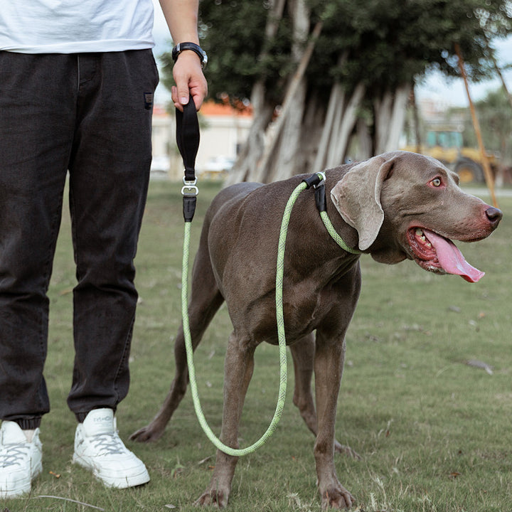 Fashion Simple Pet Dog Leash