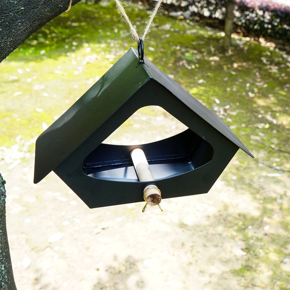 European-style Simple Iron Bird Food