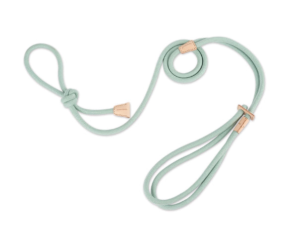 Pet Multi-functional Chest Harness Anti-Burst Leash