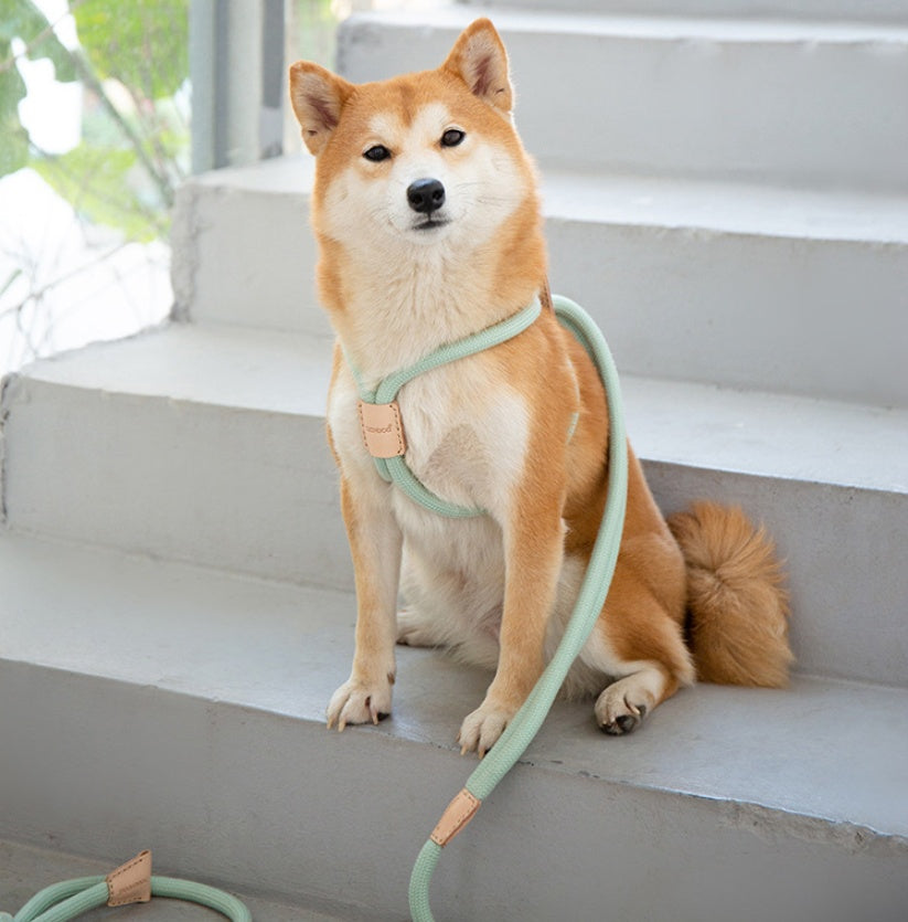 Pet Dual-purpose Integrated Round Rope Dog Leash
